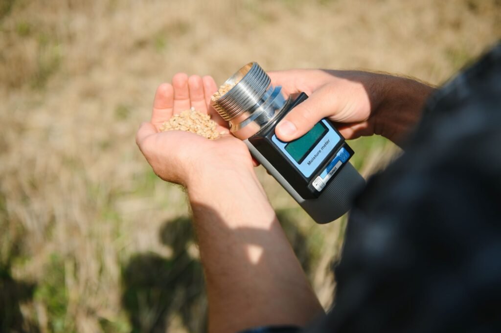 Farmer using a grain moisture meter to check corn moisture content before storage on a US farm