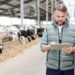 Beef cattle producer reviewing weight gain records and average daily gain data on a tablet in a farm yard