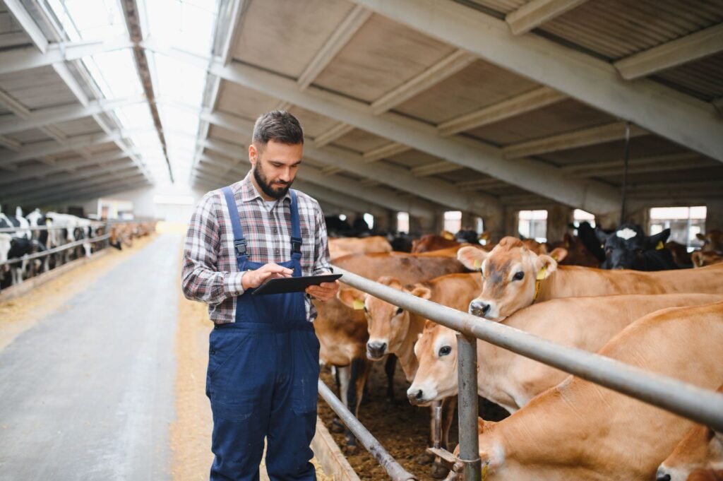 Cattle producer reviewing individual animal weight records and average daily gain data on a tablet using herd management software connected to an EID scale system