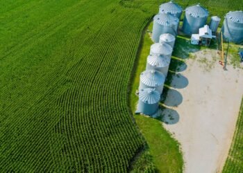Steel grain storage bins on a Midwest farm at harvest time used to store corn and soybeans