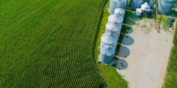 Steel grain storage bins on a Midwest farm at harvest time used to store corn and soybeans