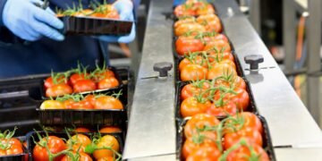 Industrial in-motion checkweigher on a food packaging production line automatically weighing and rejecting out-of-tolerance packages