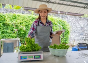 Vendor at a farmers market using an NTEP-certified portable price computing scale with dual display to weigh fresh produce for a customer